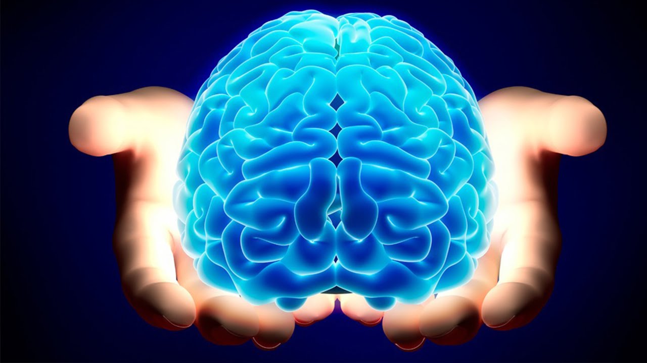 عشر معلومات علمية مذهلة عن المخ البشري